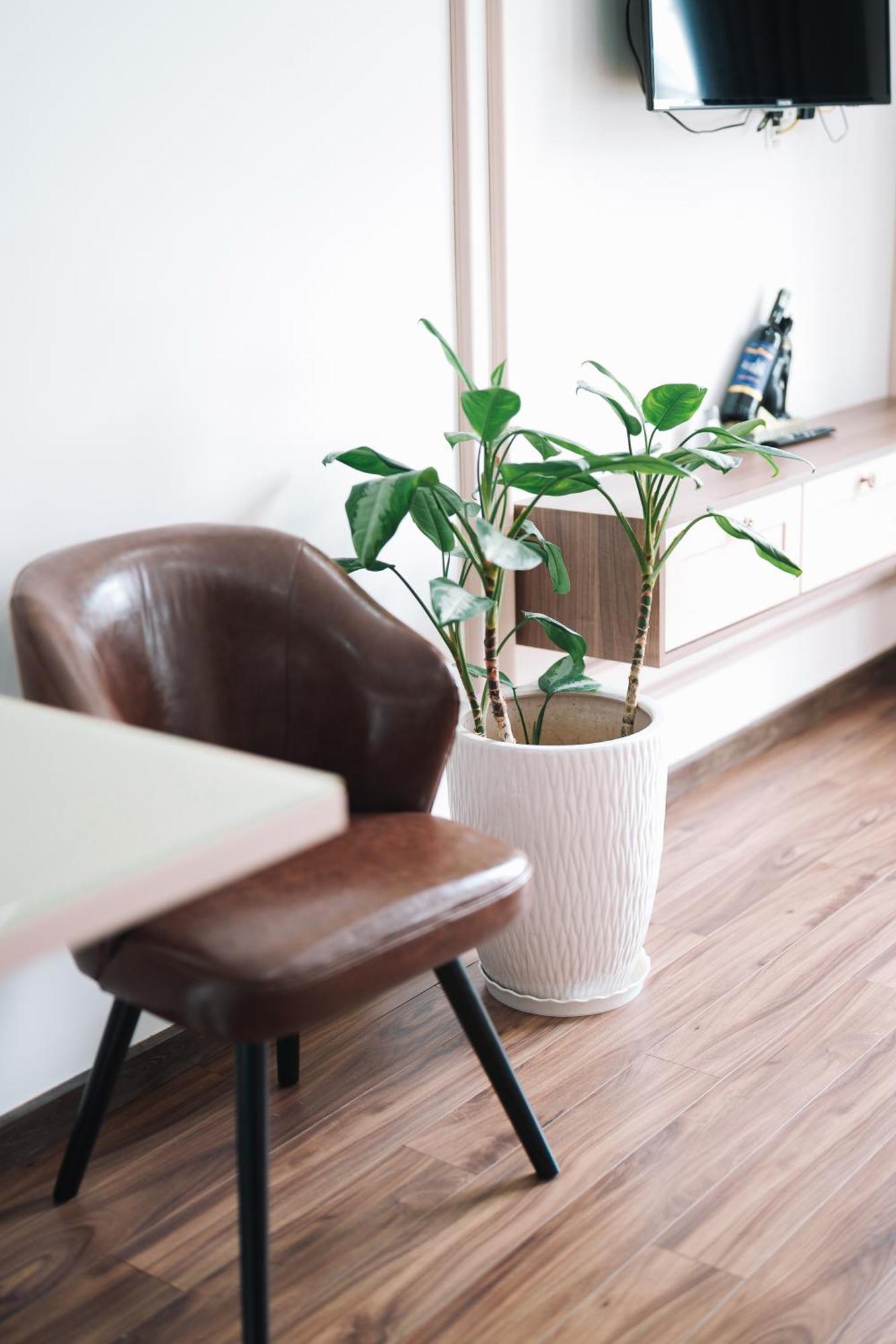 N Queen Apartment Hotel Dalat Bagian luar foto