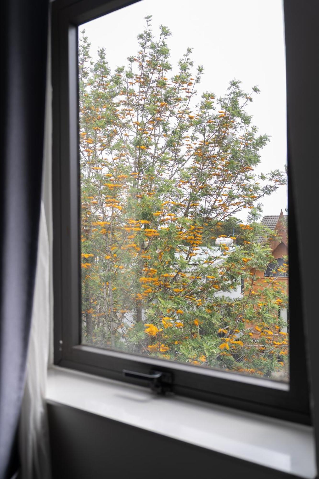 N Queen Apartment Hotel Dalat Bagian luar foto